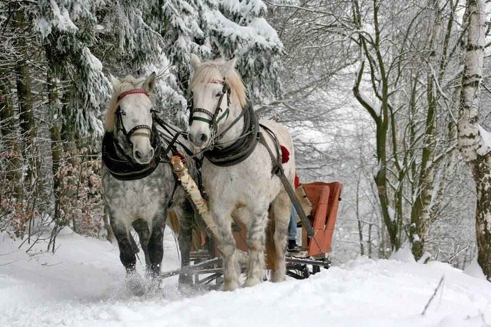 Sleigh Ride - Christmas and Holiday Candle Fragrance  Premium Fragrance Oil