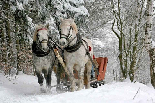 Sleigh Ride - Christmas and Holiday Candle Fragrance  Premium Fragrance Oil